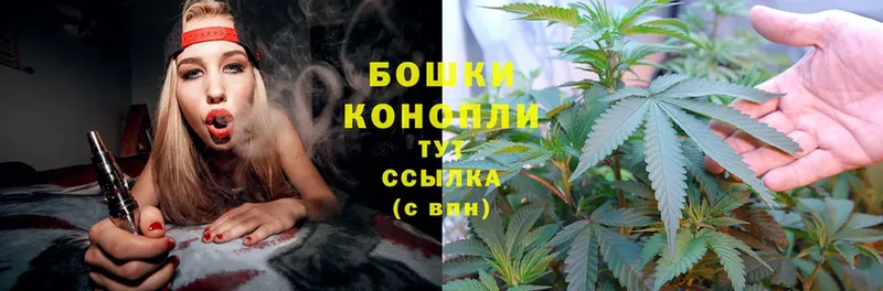 Бошки марихуана THC 21%  Орехово-Зуево 